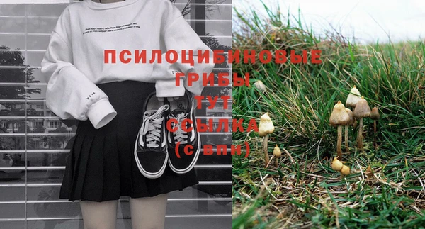 марки lsd Бородино