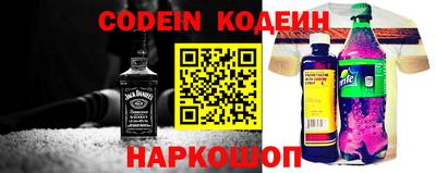индика Гатчина