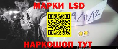 спайс Гай