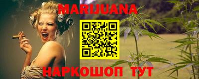 индика Гатчина