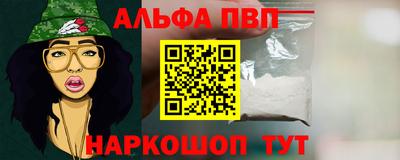 спайс Гай