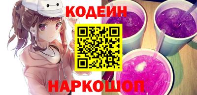 индика Гатчина