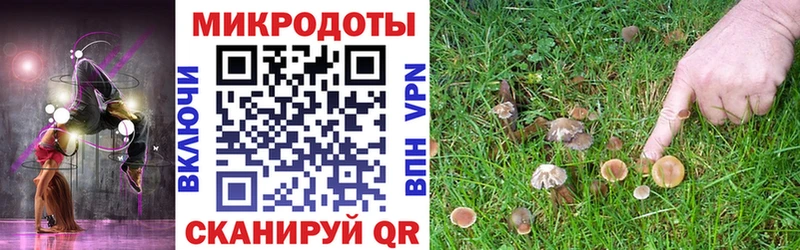 Галлюциногенные грибы мухоморы  Кохма 