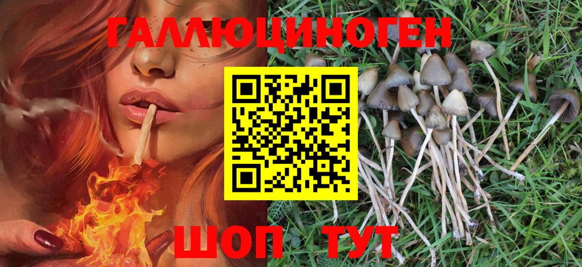 Псилоцибиновые грибы ЛСД  Вход с VPN  Галлюциногенные грибы Psilocybe  Кохма 