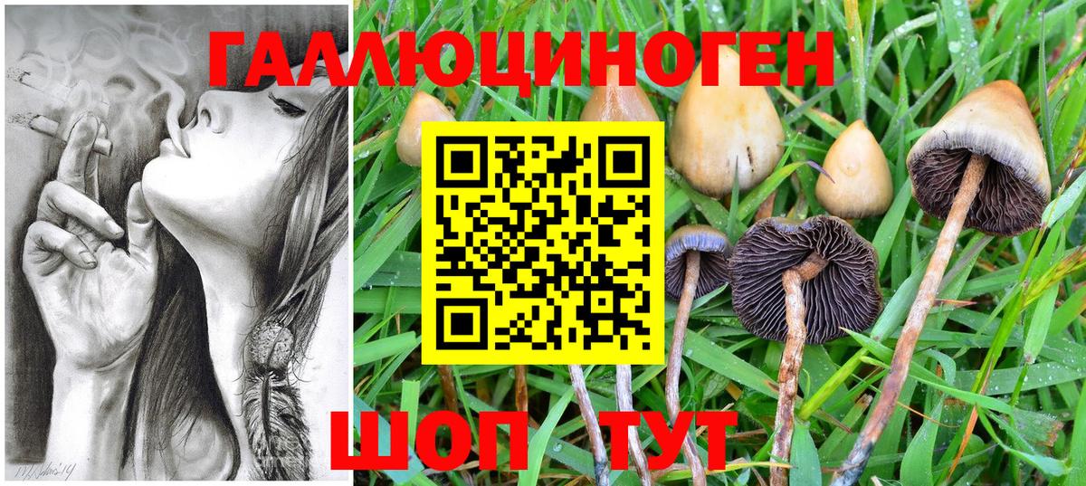 Галлюциногенные грибы Magic Shrooms  Кохма  Псилоцибиновые грибы MAGIC MUSHROOMS 
