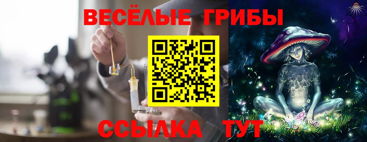 Псилоцибиновые грибы Psilocybe Кохма