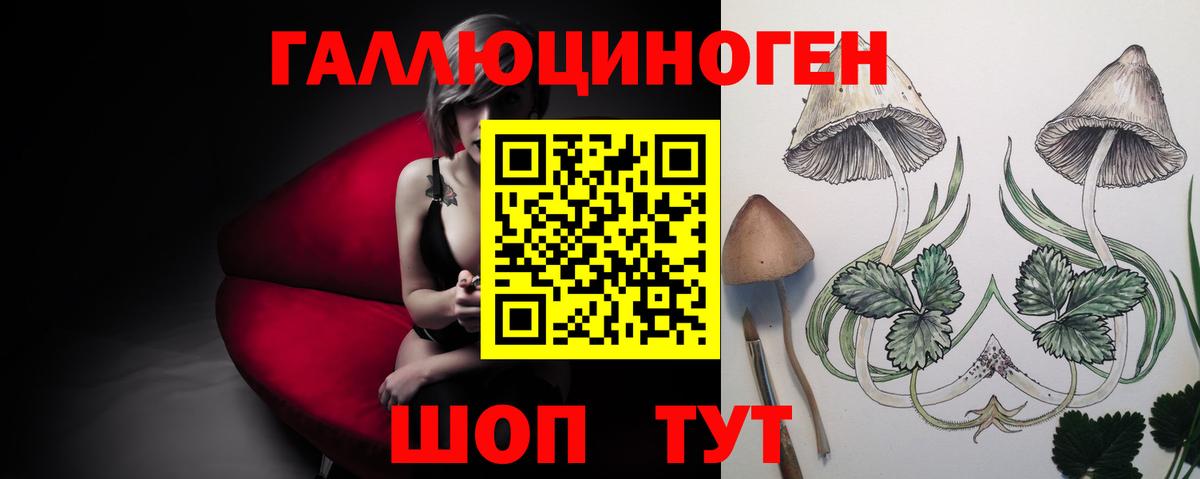 Псилоцибиновые грибы Psilocybe Кохма