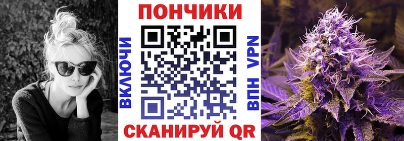 Канабис планчик Кохма